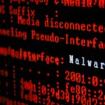 Damages Caused by Malware