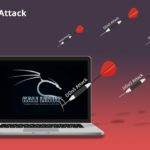 Denial of Service DDoS Attack Using Kali Linux