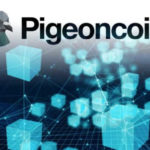 Hacker Learn the Hard Way after Spending Whole Day Hacking Pigeoncoin