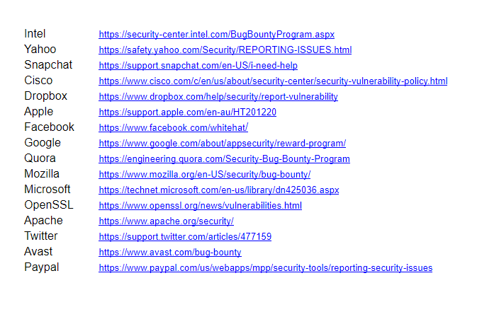 Freelance Security Bug Bounty Hunter